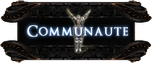 DKS2-Wiki-Homepage-Files-communauté.png