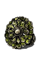 Chloranthy Ring.png